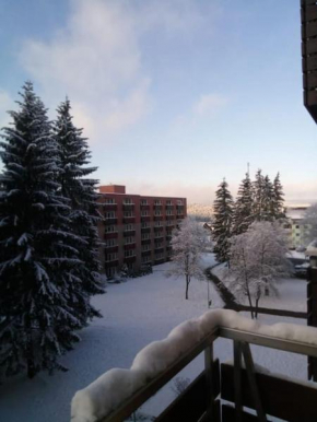 FeWo Eisblume. Erholung im wunderschönem Harz!